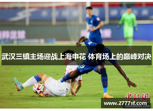 武汉三镇主场迎战上海申花 体育场上的巅峰对决